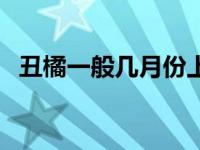 丑橘一般几月份上市（丑橘什么时候上市）
