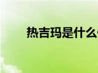 热吉玛是什么仪器（热吉玛是什么）