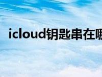 icloud钥匙串在哪里查看（icloud钥匙串）
