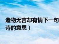 造物无言却有情下一句是什么作者是谁（造物无言却有情全诗的意思）