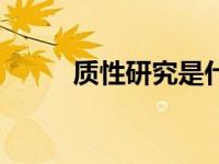 质性研究是什么意思（质性研究）