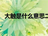 大触是什么意思二次元（大触是什么意思）