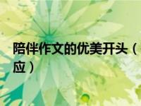 陪伴作文的优美开头（关于陪伴的作文开头结尾要求相互照应）