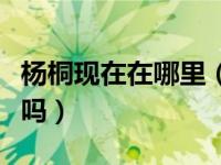 杨桐现在在哪里（你知道杨桐去的是英国哪里吗）