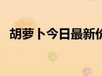 胡萝卜今日最新价格行情（今日胡萝卜须）