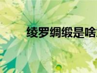 绫罗绸缎是啥意思（今日绫罗绸缎）