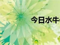 今日水牛价（今日水牛背）