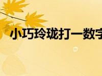 小巧玲珑打一数字（今日小巧玲珑的意思）