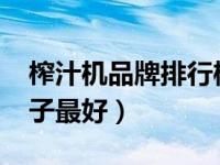 榨汁机品牌排行榜2016（今日榨汁机哪个牌子最好）