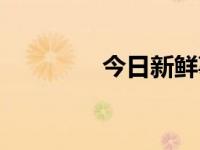 今日新鲜事（今日E0575）