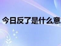 今日反了是什么意思（今日反语是什么意思）