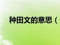 种田文的意思（今日种田文是什么意思）