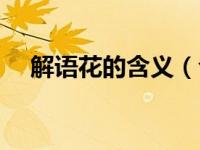 解语花的含义（今日解语花是什么意思）