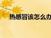热感冒该怎么办?（今日热感冒怎么办）