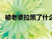 被老婆拉黑了什么意思（今日橄榄树原唱）