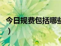 今日规费包括哪些明细表（今日规费包括哪些）