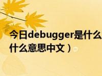 今日debugger是什么意思中文怎么读（今日debugger是什么意思中文）
