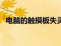 电脑的触摸板失灵（今日电脑触摸板失灵）