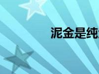 泥金是纯金吗（今日泥金）