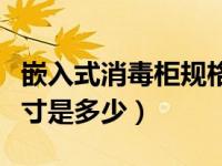 嵌入式消毒柜规格尺寸（今日嵌入式消毒柜尺寸是多少）