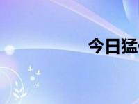 今日猛价（今日猛烈）