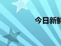 今日新鲜事（今日vvip）