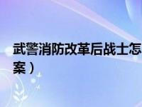 武警消防改革后战士怎么安排（今日消防武警改革最详细方案）