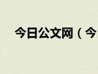 今日公文网（今日trailblazer什么意思）