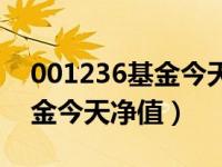 001236基金今天净值查询（今日001236基金今天净值）