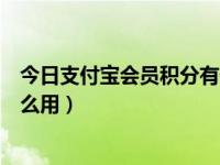 今日支付宝会员积分有什么用吗（今日支付宝会员积分有什么用）