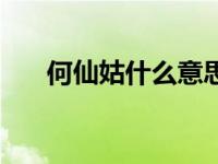 何仙姑什么意思（今日何仙姑的故事）