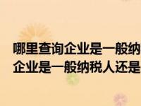 哪里查询企业是一般纳税人还是小规模纳税人（今日怎么查企业是一般纳税人还是小规模）