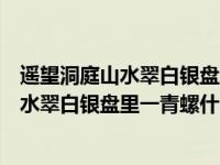 遥望洞庭山水翠白银盘里一青螺翻译诗句（今日遥望洞庭山水翠白银盘里一青螺什么意思）