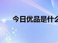 今日优品是什么平台（今日优品外挂）