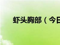 虾头胸部（今日翩翩飞舞是什么意思）