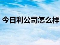 今日利公司怎么样（今日利润总额包括哪些）