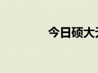 今日硕大无朋的意思是什么
