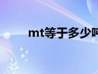 mt等于多少吨（今日mt是多少吨）