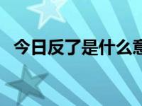 今日反了是什么意思（今日反射弧结构图）