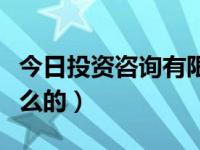 今日投资咨询有限公司（今日投资顾问是做什么的）