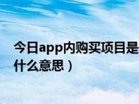 今日app内购买项目是什么意思啊（今日app内购买项目是什么意思）
