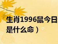 生肖1996鼠今日运势如何（今日1996年属鼠是什么命）