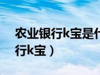 农业银行k宝是什么意思?（今日中国农业银行k宝）