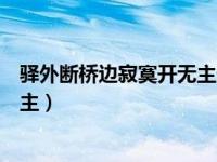 驿外断桥边寂寞开无主什么意思（今日驿外断桥边寂寞开无主）