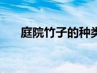 庭院竹子的种类（今日庭院竹子种类）