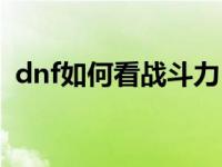 dnf如何看战斗力（今日dnf怎么看战斗力）