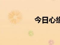 今日心缘（今日缘来网）