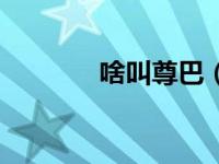 啥叫尊巴（今日尊巴是什么）