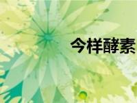 今样酵素（今日酵素原液）
