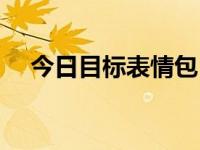 今日目标表情包（今日目标宏怎么做的）